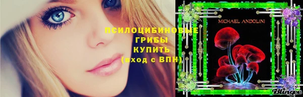 ECSTASY Богородицк