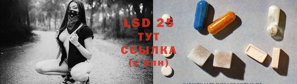 прущий лед Богданович