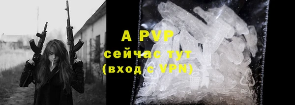 ECSTASY Богородицк