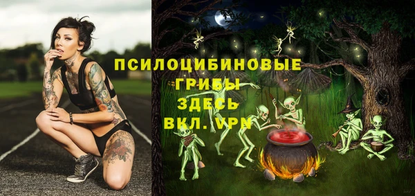 прущий лед Богданович