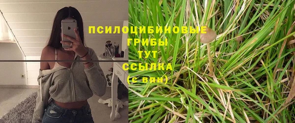 mix Баксан