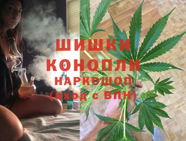 ECSTASY Богородицк