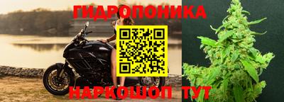 ALPHA PVP Будённовск