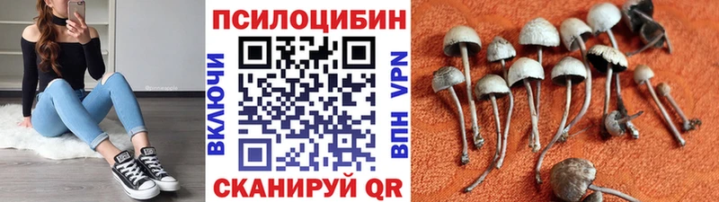 Галлюциногенные грибы мицелий  закладки  Гудермес 