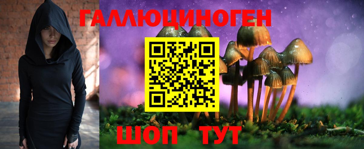 Галлюциногенные грибы мухоморы Гудермес