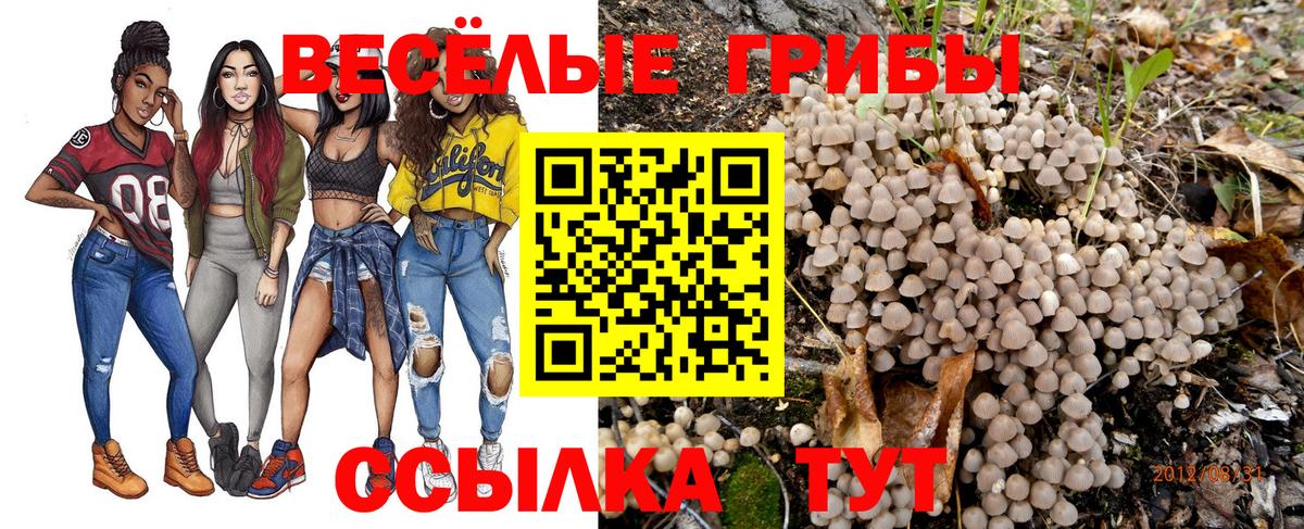 где продают   Галлюциногенные грибы GOLDEN TEACHER  Вход с VPN  Гудермес 