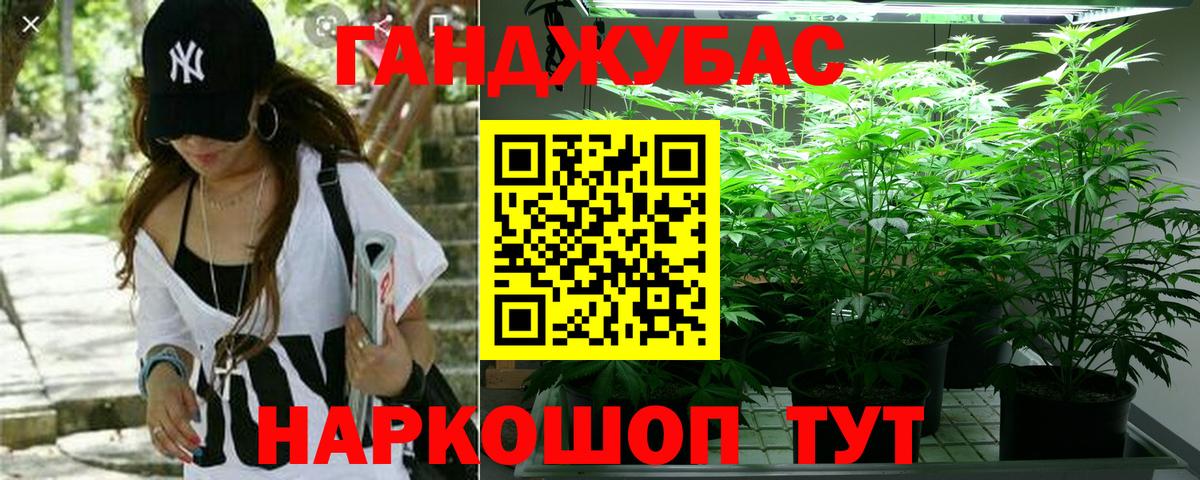 МАРИХУАНА планчик Гудермес